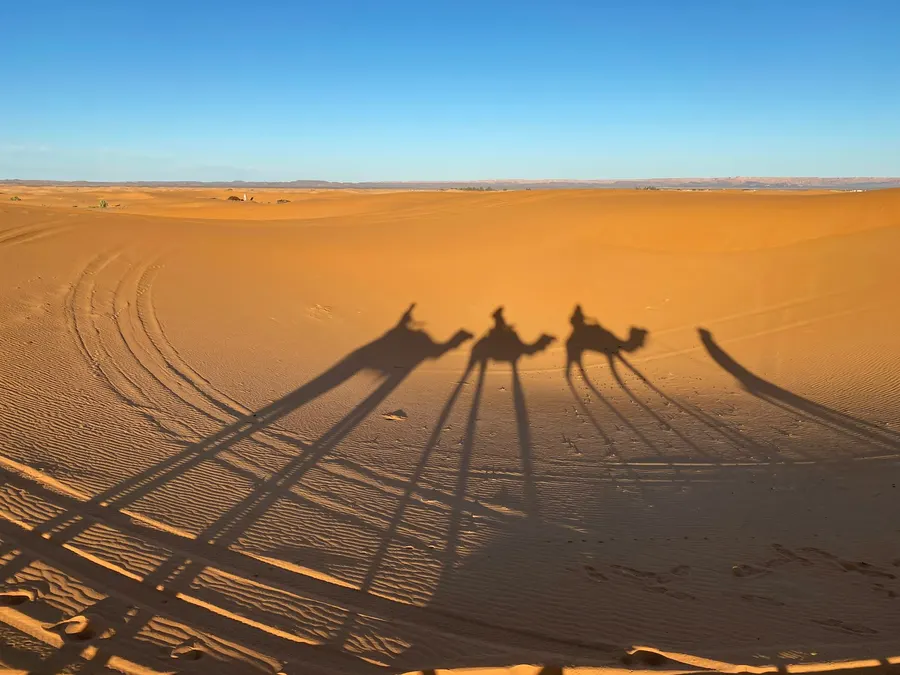 Long shadows of camel riders stretching across Erg Chebbi desert sands