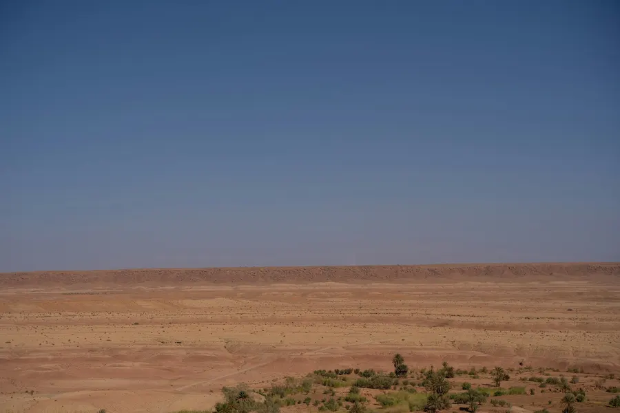 Vast rocky hamada desert plateau stretching toward the horizon