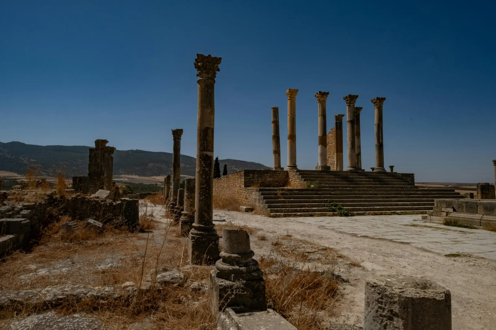 Ancient Roman Capitol Corinthian columns and steps at Volubilis