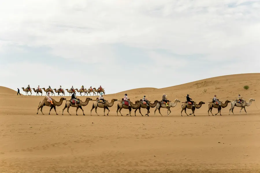 Line of travelers on camels trekking across the Sahara Desert dunes