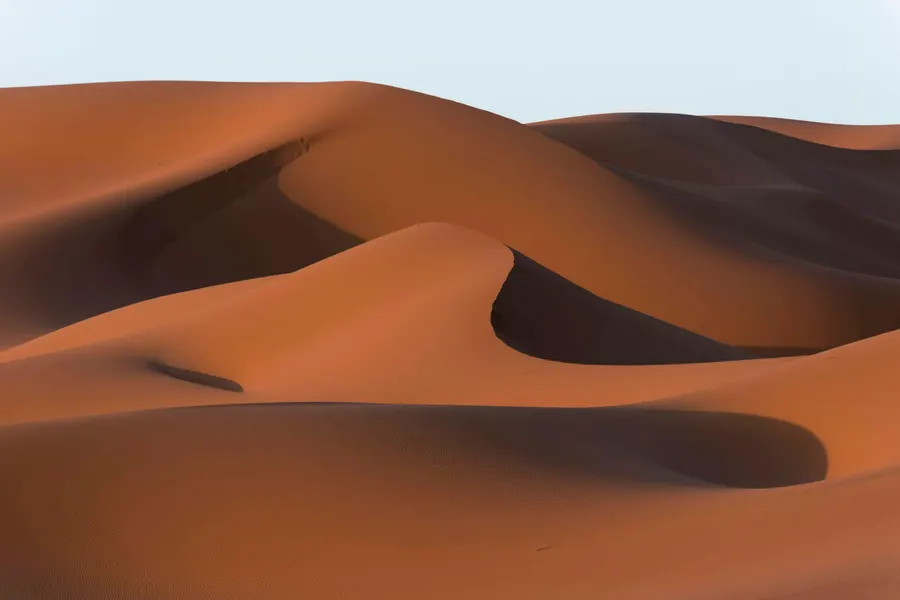 Wind-sculpted curving crests of the Erg Chebbi sand dunes