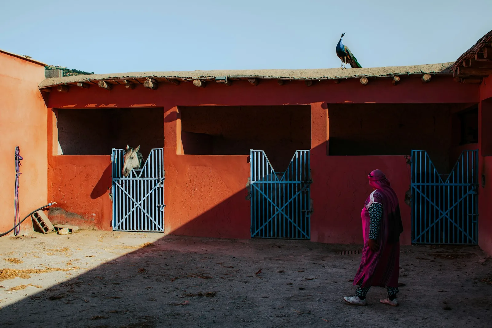 10-Day Grand Morocco Tour from Marrakech to Tangier