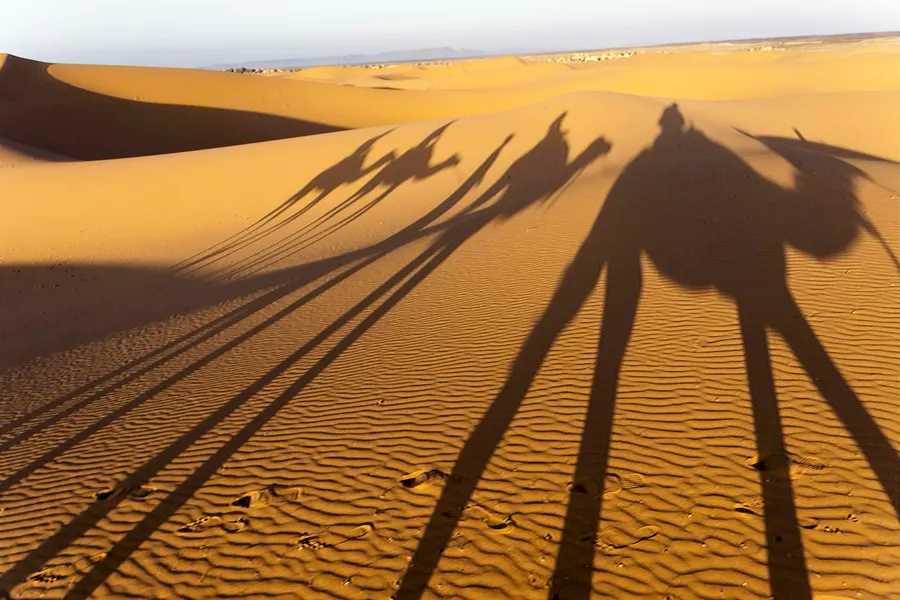 Shadows of a camel caravan marching across golden desert dunes