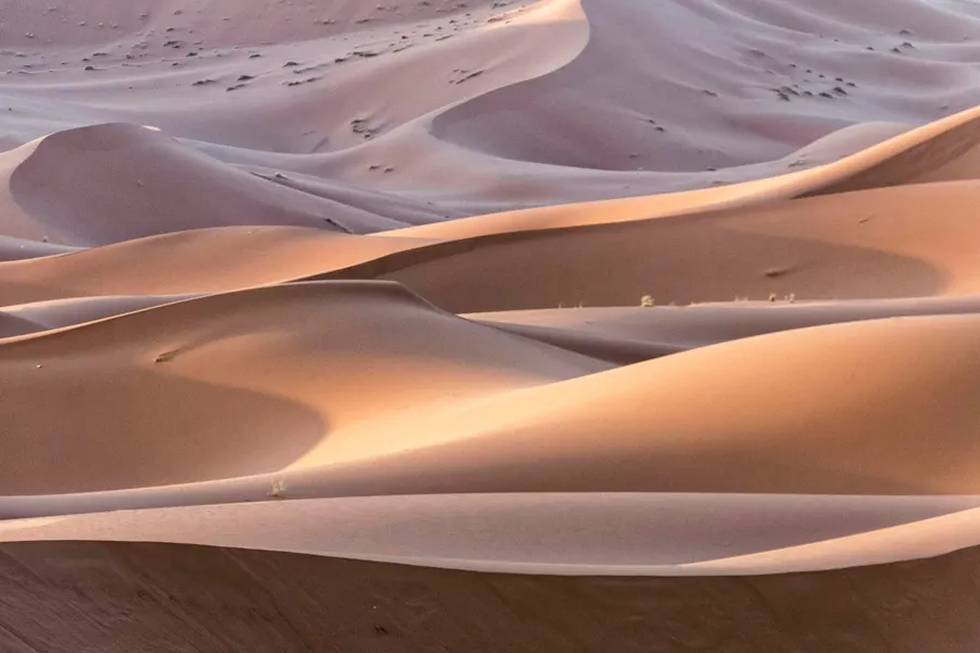 Rippled sand dunes of Erg Chebbi glowing in soft morning light