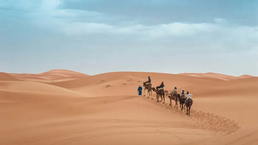 Camel trek following the curving ridge of Erg Chebbi dunes in Merzouga