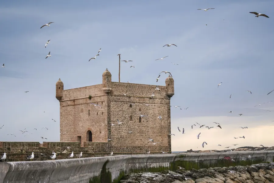 Sqala du Port stone sea bastion and seagulls in coastal Essaouira