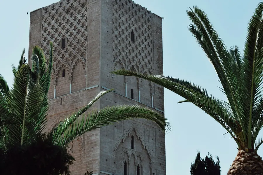 Moorish stone carvings on Hassan Tower framed by palm fronds in Rabat