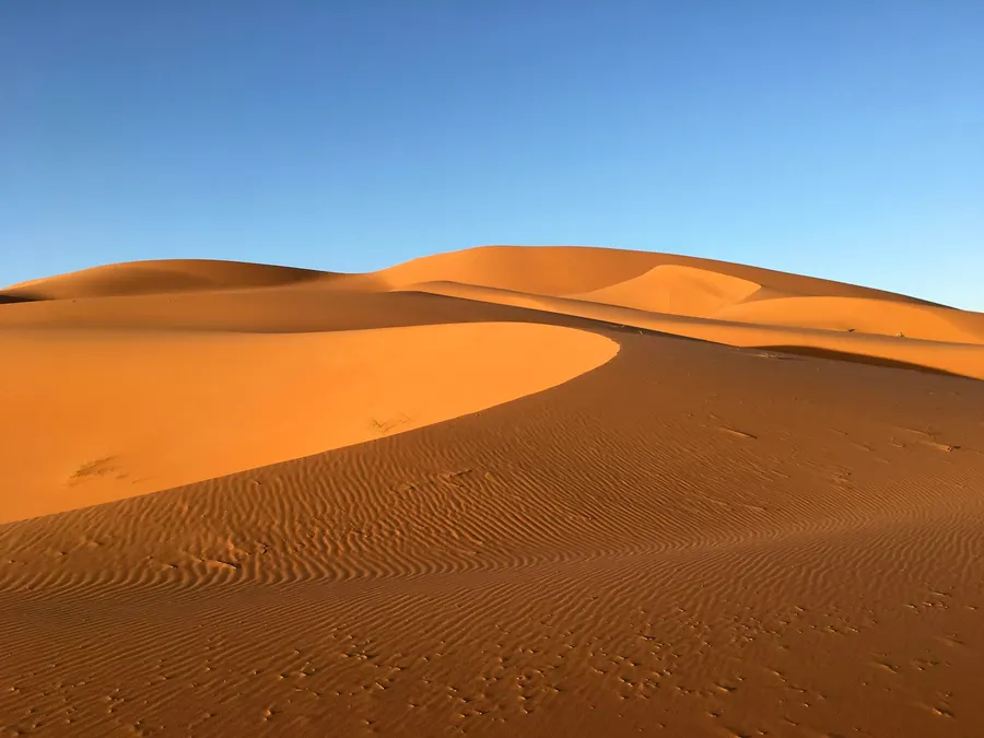 Curving sand dune ridge in Erg Chebbi under clear blue desert sky