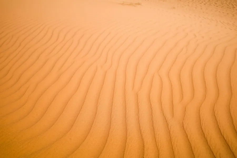 Wind-formed ripple patterns across golden desert sand dunes