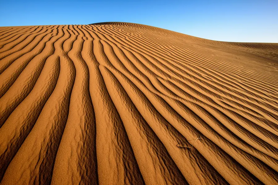 Wind-sculpted sand ripples on a desert dune against bright blue sky