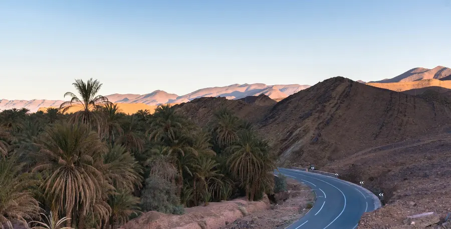 Scenic mountain road winding through palm groves in the Draa Valley