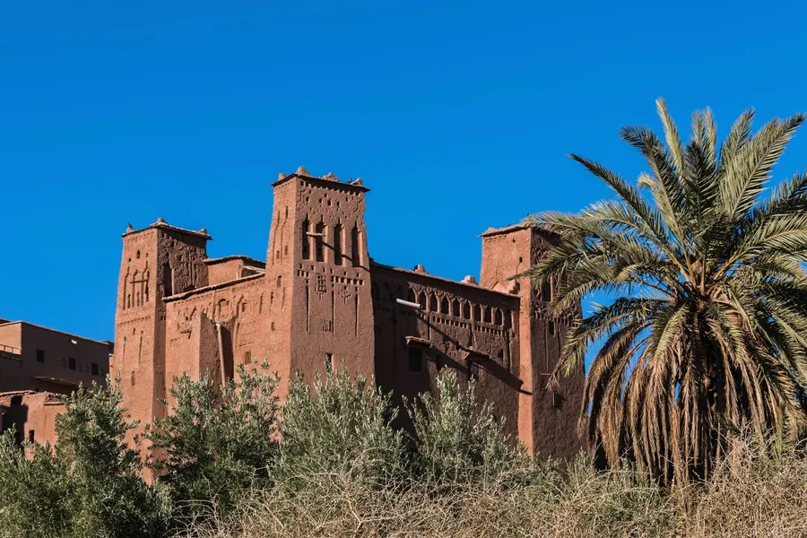 Earthen kasbah towers framed by palm trees and olive trees