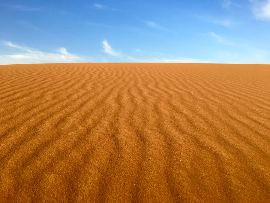 Textured golden sand dunes meeting a blue sky in the Sahara Desert