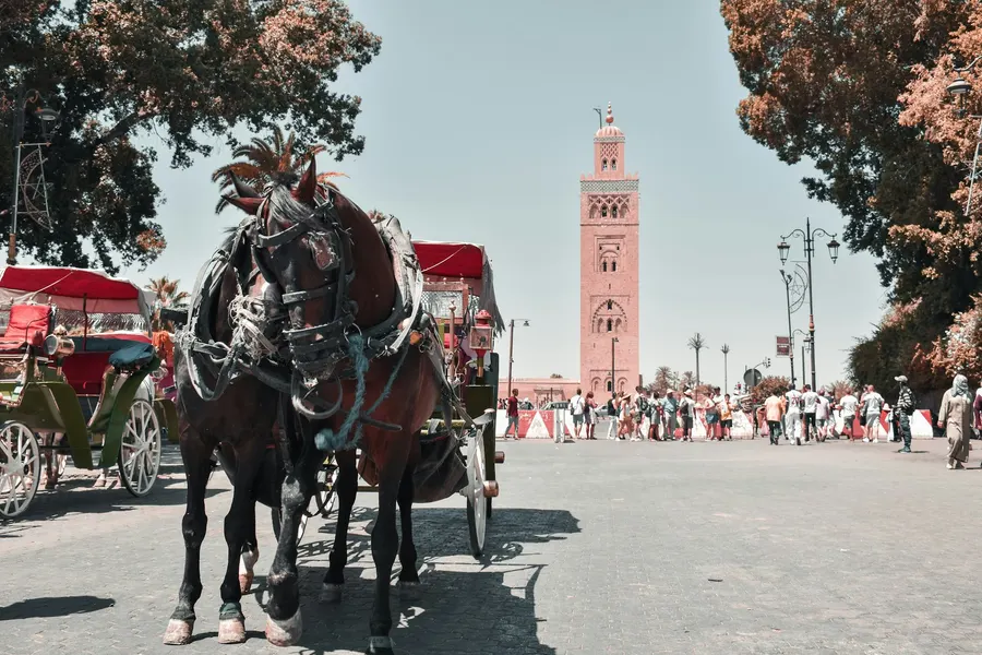 Carrozza a cavalli di fronte al minareto della Koutoubia a Marrakech