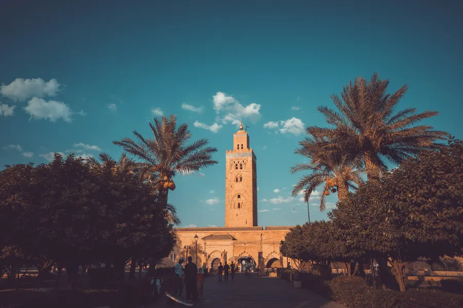 Lush green date palm groves surrounding Kasbah Amridil in Skoura