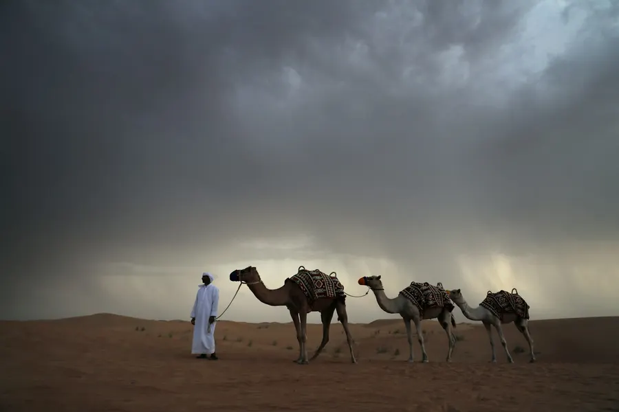 Guía conduciendo dromedarios a través de dunas del desierto bajo nubes dramáticas