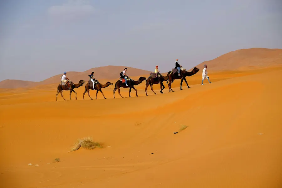 Caravana de dromedarios recorriendo las dunas doradas de Erg Chebbi en Merzouga