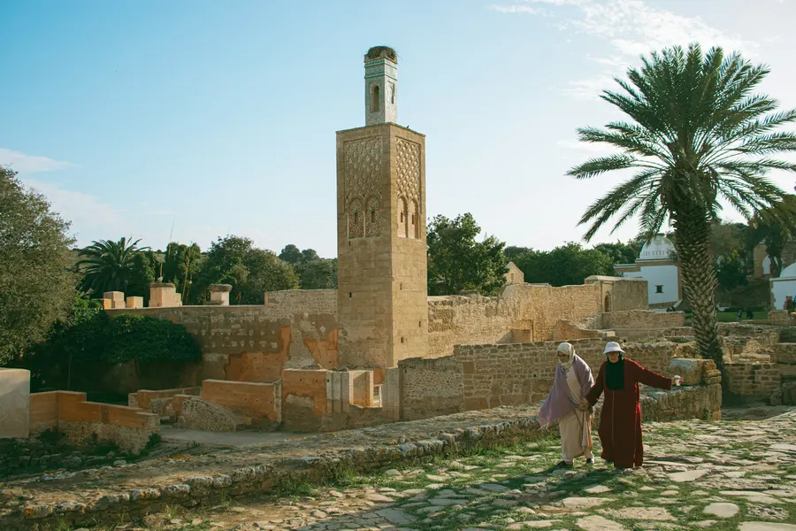 Alminar histórico con nido de cigüeñas en la necrópolis de Chellah en Rabat