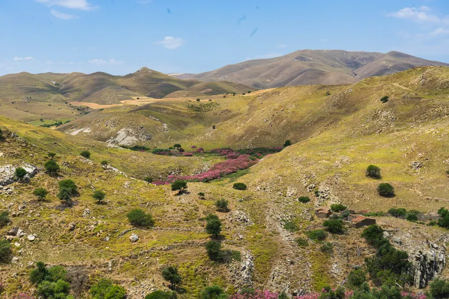 Scenic lookout over the green palm oasis winding through Ziz Gorge