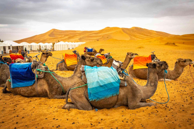 Best 12 Days Morocco Tour From Casablanca