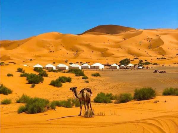 Morocco Itinerary 6 Days Desert Tour From Casablanca To Marrakech