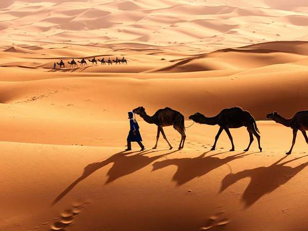 11 Days Morocco Classic Tour – Private Tour Package