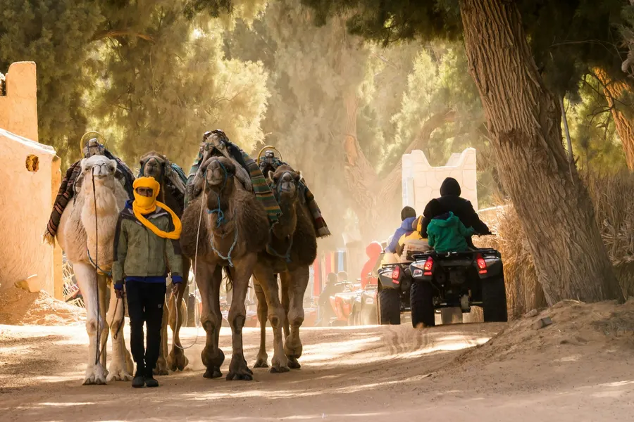 Camel caravan moving along the curving dune ridges of Erg Chebbi