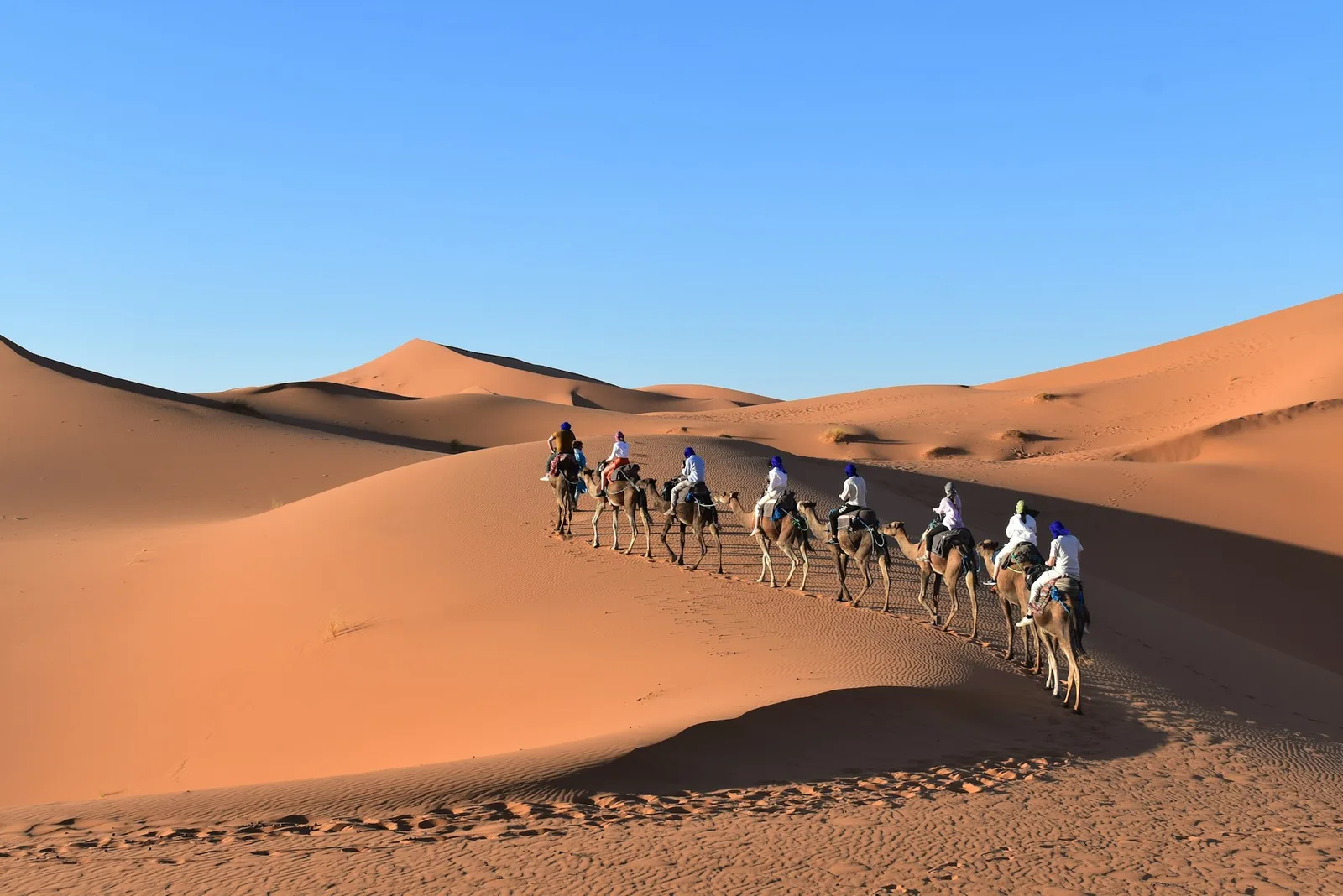 Panoramic morning light across the expansive dunes of Erg Chebbi in Merzouga