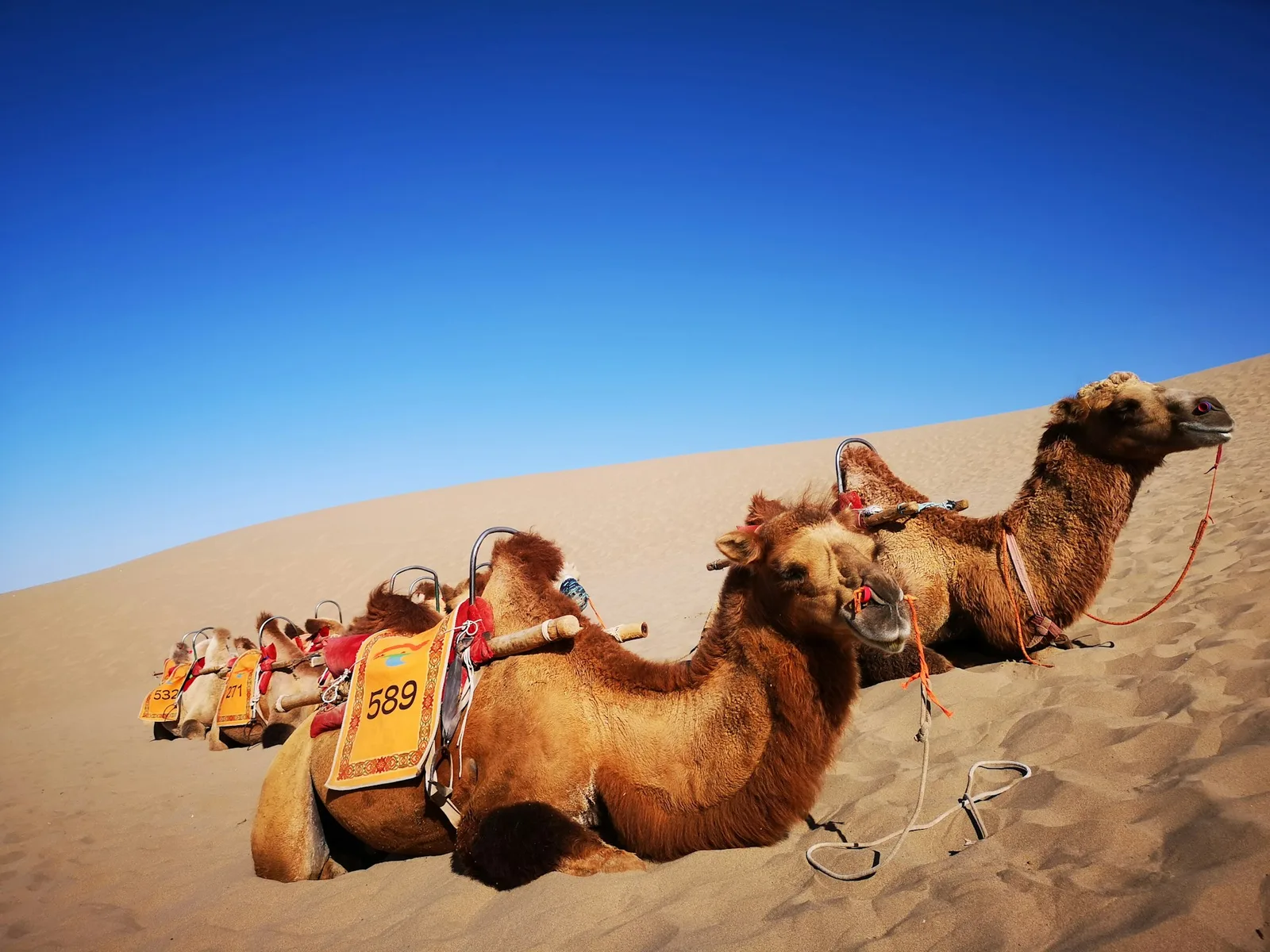 3-Day Ouarzazate to Marrakech Desert Tour via Merzouga